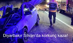 Diyarbakır Silvan’da korkunç kaza! İki otomobil ve bir atın çarpıştığı kazada 1 ölü, 7 yaralı