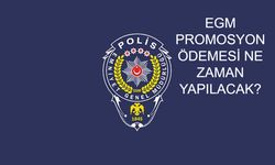EGM PROMOSYON ÖDEMESİ NE ZAMAN YAPILACAK? 100 Bin TL’lik Egm Maaş Promosyonu Tarihi Açıklandı Mı, Ödemeler Ne Zaman?