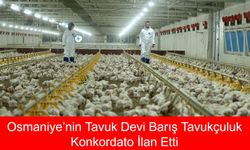 Osmaniye’nin Tavuk Devi Barış Tavukçuluk Konkordato İlan Etti: Sektörde Şok Gelişme!