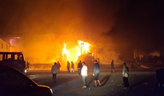 Antalya Yanıyor! Dev Paketleme Fabrikası Göz Göre Göre Küle Döndü