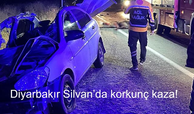 Diyarbakır Silvan’da korkunç kaza! İki otomobil ve bir atın çarpıştığı kazada 1 ölü, 7 yaralı