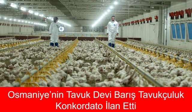 Osmaniye’nin Tavuk Devi Barış Tavukçuluk Konkordato İlan Etti: Sektörde Şok Gelişme!